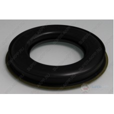 ПОРШЕНЬ ДИРЕКТ